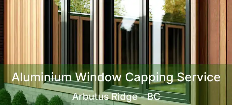  Aluminium Window Capping Service Arbutus Ridge - BC