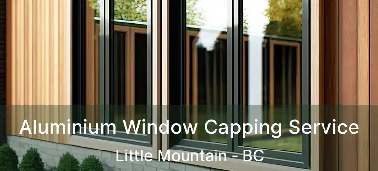  Aluminium Window Capping Service Little Mountain - BC