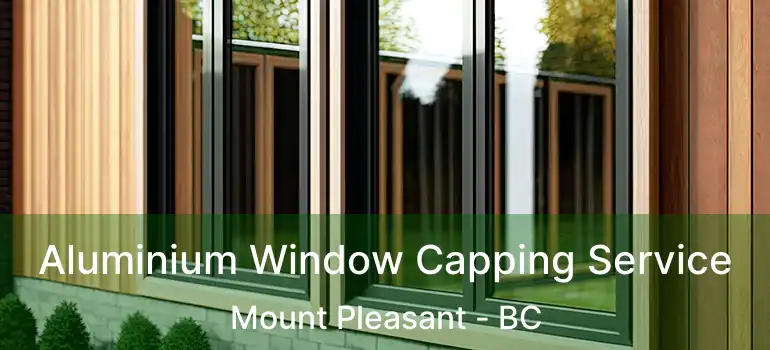  Aluminium Window Capping Service Mount Pleasant - BC