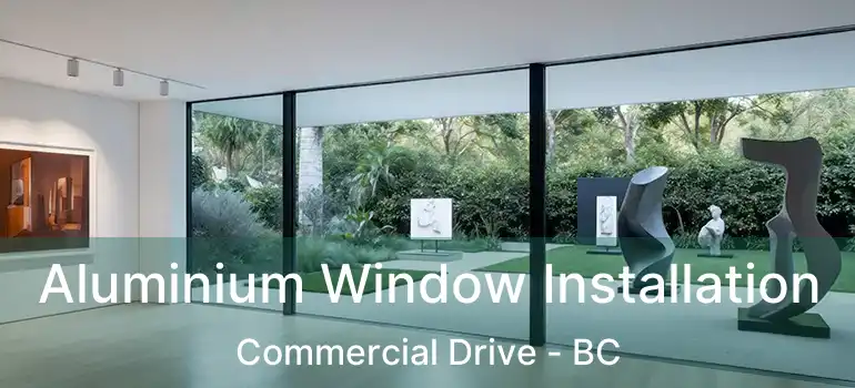  Aluminium Window Installation Commercial Drive - BC