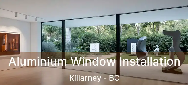  Aluminium Window Installation Killarney - BC