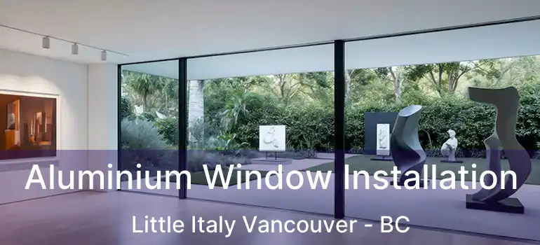 Aluminium Window Installation Little Italy Vancouver - BC