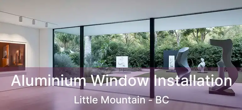  Aluminium Window Installation Little Mountain - BC