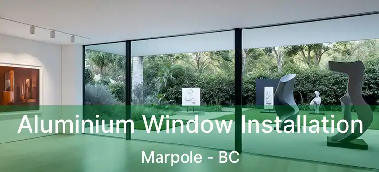  Aluminium Window Installation Marpole - BC