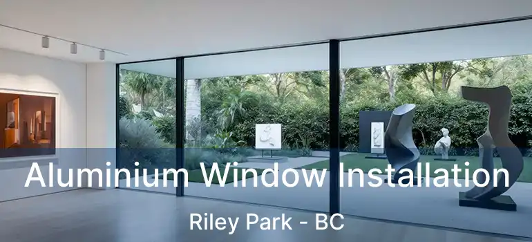  Aluminium Window Installation Riley Park - BC