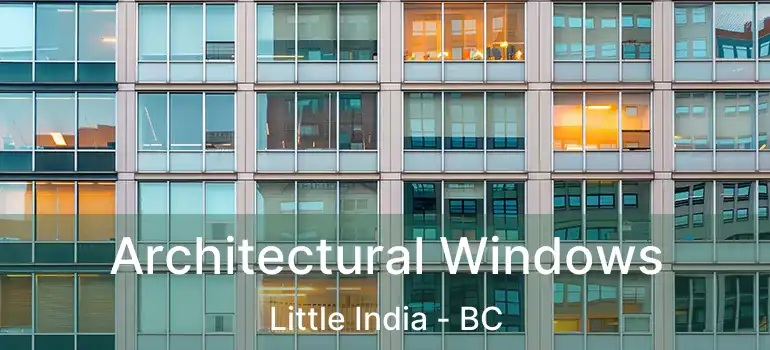  Architectural Windows Little India - BC