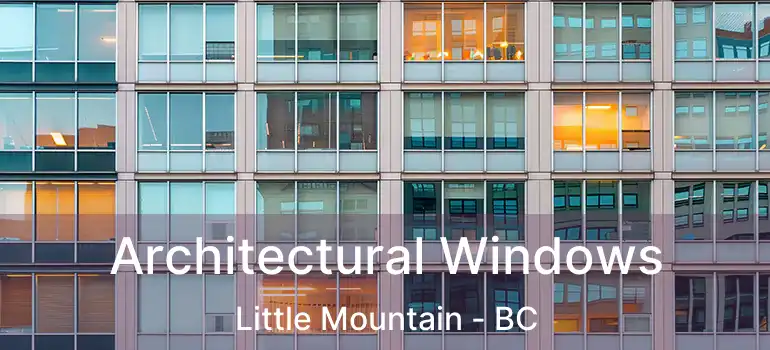  Architectural Windows Little Mountain - BC