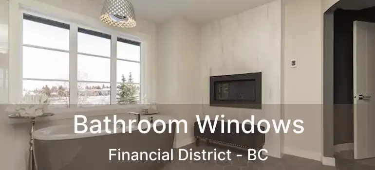 Bathroom Windows Financial District - BC