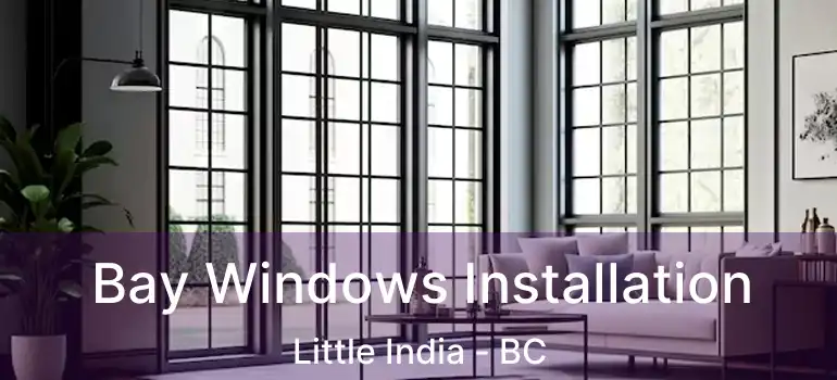  Bay Windows Installation Little India - BC