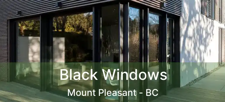  Black Windows Mount Pleasant - BC