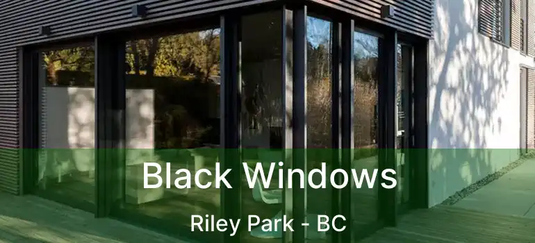  Black Windows Riley Park - BC