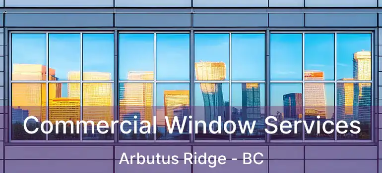  Commercial Window Services Arbutus Ridge - BC