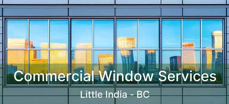  Commercial Window Services Little India - BC