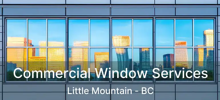  Commercial Window Services Little Mountain - BC