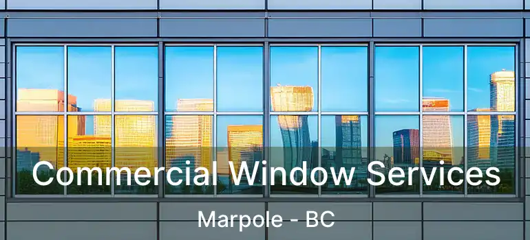  Commercial Window Services Marpole - BC
