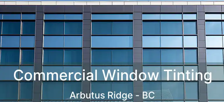  Commercial Window Tinting Arbutus Ridge - BC