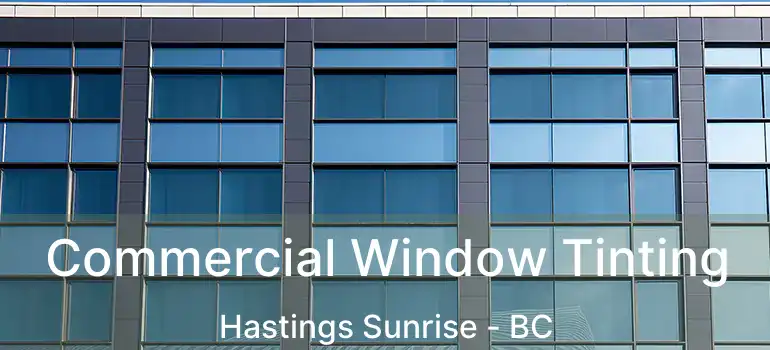  Commercial Window Tinting Hastings Sunrise - BC