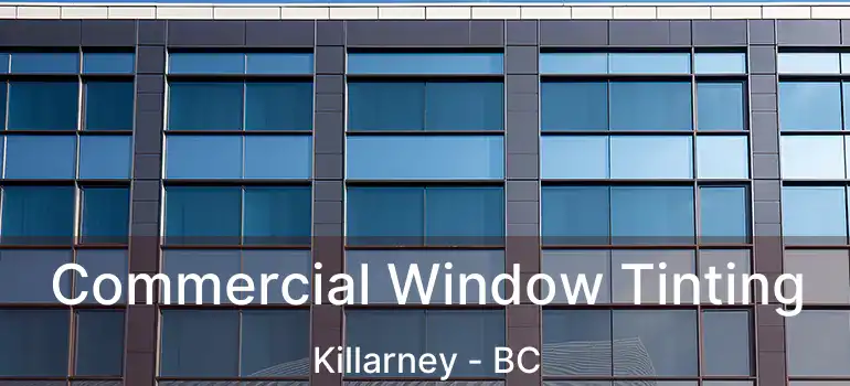  Commercial Window Tinting Killarney - BC