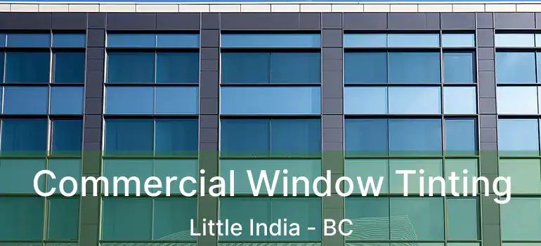  Commercial Window Tinting Little India - BC