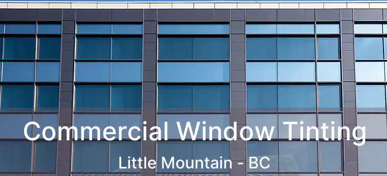  Commercial Window Tinting Little Mountain - BC