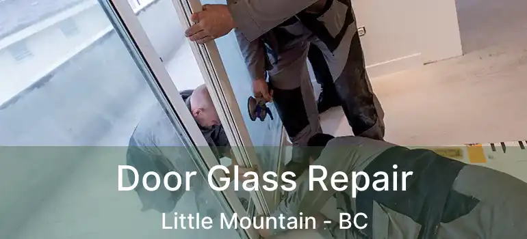  Door Glass Repair Little Mountain - BC