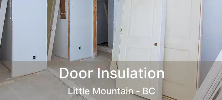  Door Insulation Little Mountain - BC