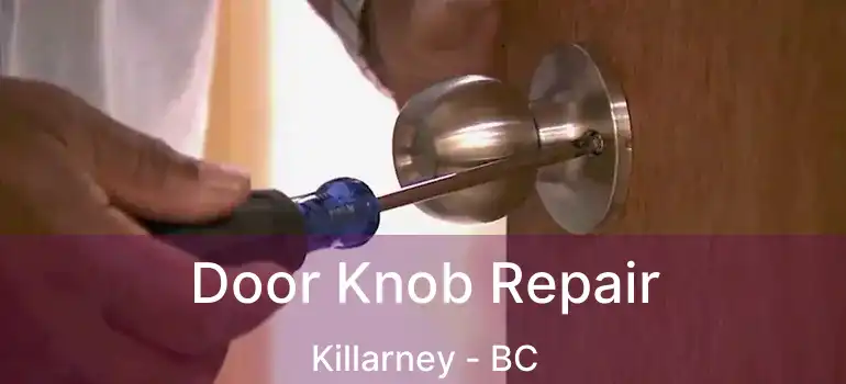  Door Knob Repair Killarney - BC