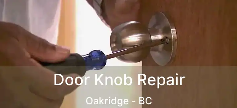  Door Knob Repair Oakridge - BC