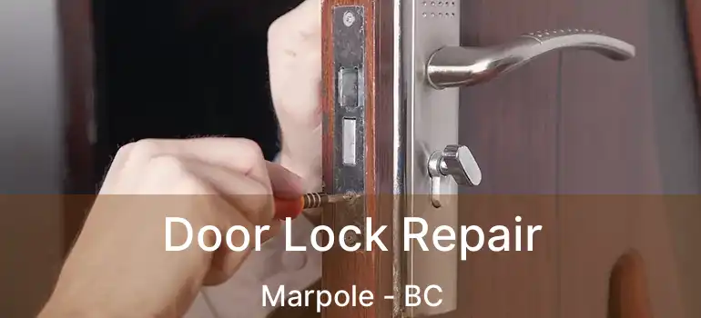  Door Lock Repair Marpole - BC