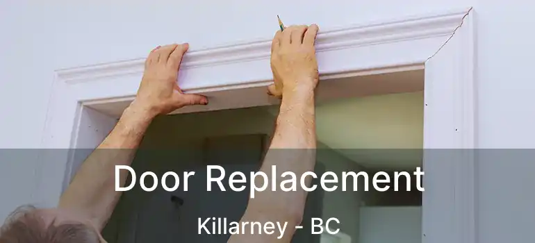  Door Replacement Killarney - BC