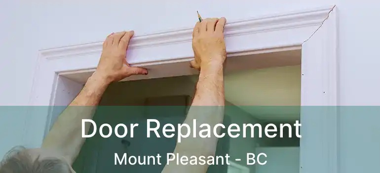  Door Replacement Mount Pleasant - BC