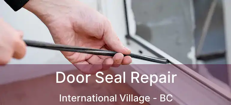  Door Seal Repair International Village - BC
