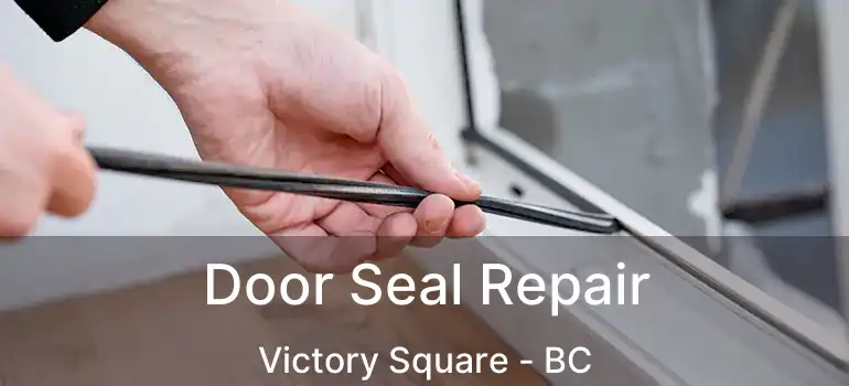  Door Seal Repair Victory Square - BC