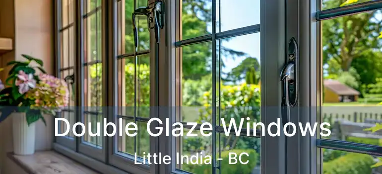  Double Glaze Windows Little India - BC