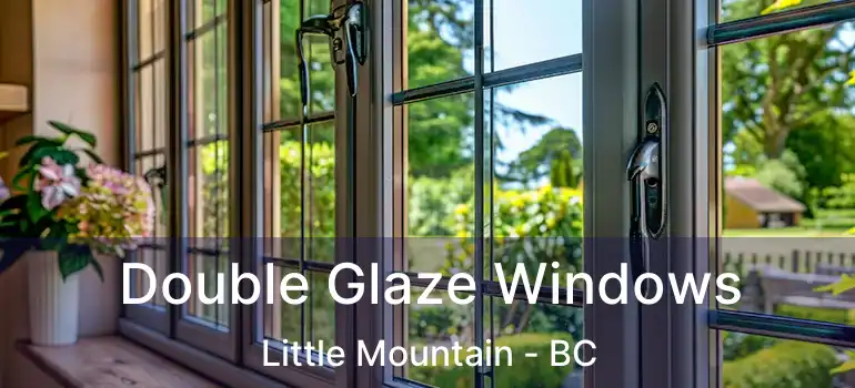 Double Glaze Windows Little Mountain - BC