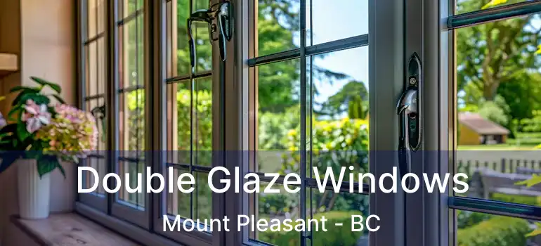 Double Glaze Windows Mount Pleasant - BC