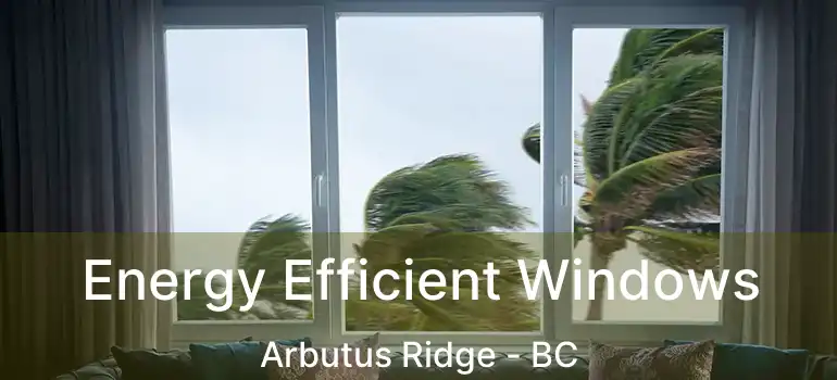  Energy Efficient Windows Arbutus Ridge - BC