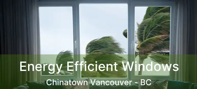  Energy Efficient Windows Chinatown Vancouver - BC