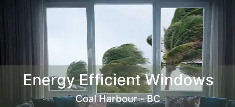  Energy Efficient Windows Coal Harbour - BC