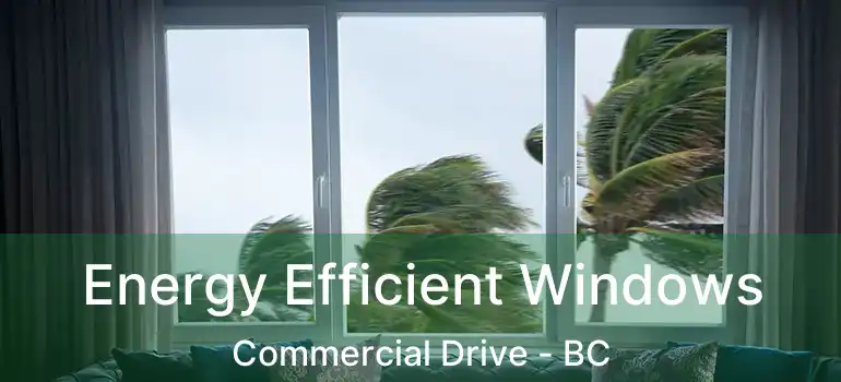  Energy Efficient Windows Commercial Drive - BC