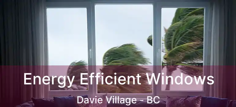  Energy Efficient Windows Davie Village - BC