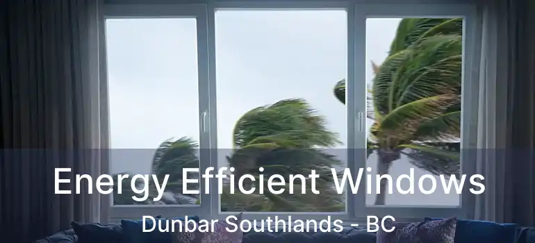  Energy Efficient Windows Dunbar Southlands - BC