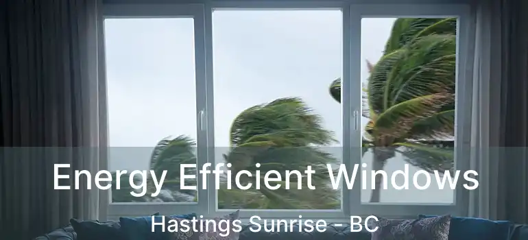  Energy Efficient Windows Hastings Sunrise - BC