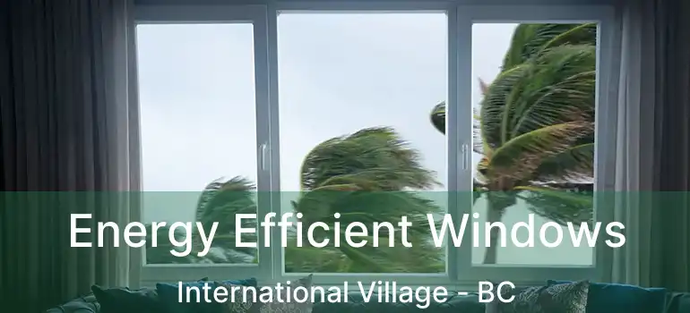  Energy Efficient Windows International Village - BC