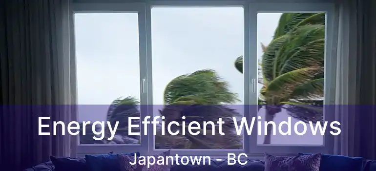  Energy Efficient Windows Japantown - BC