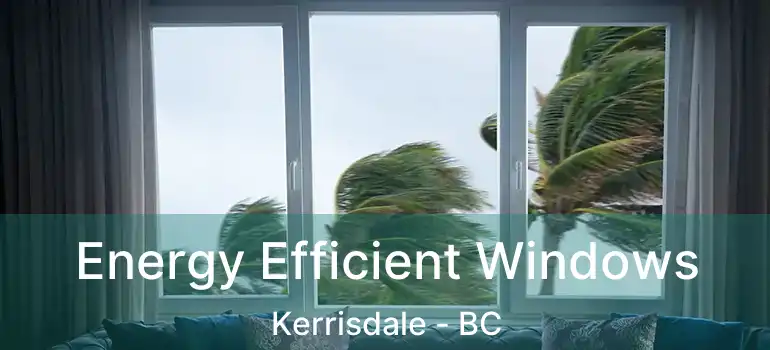  Energy Efficient Windows Kerrisdale - BC
