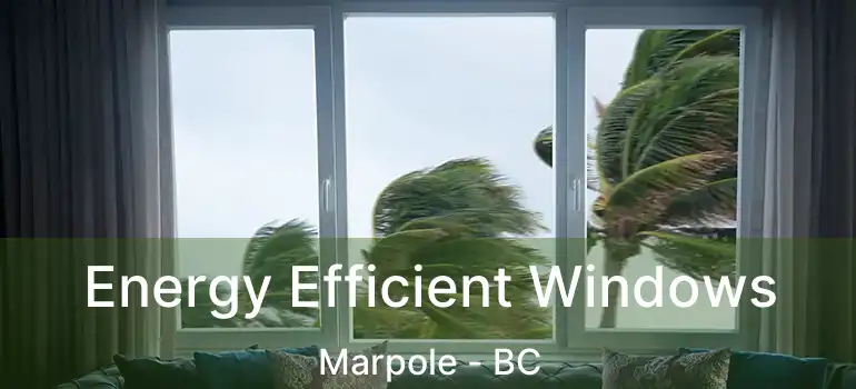  Energy Efficient Windows Marpole - BC