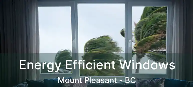 Energy Efficient Windows Mount Pleasant - BC