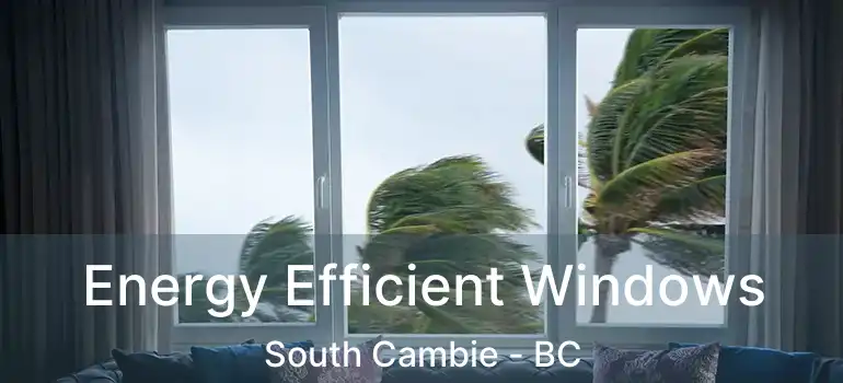  Energy Efficient Windows South Cambie - BC