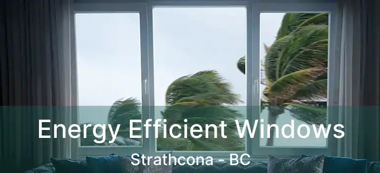  Energy Efficient Windows Strathcona - BC
